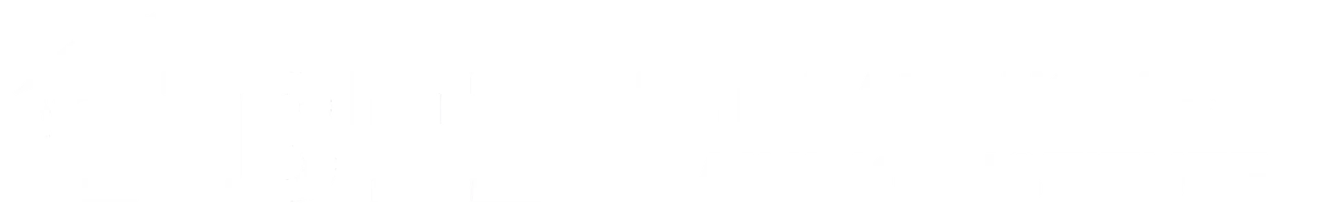 NBTI Logo in white